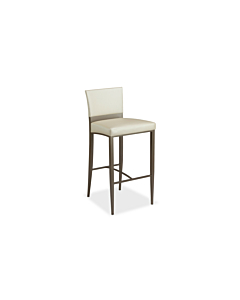 Elite Modern Carina Counter Stool