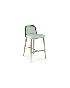 Elite Modern Coco Counter Stool Wood Back