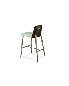 Elite Modern Coco Bar Stool Wood Back