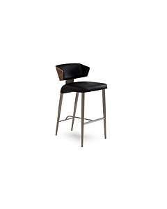 Elite Modern Costa Counter Stool with Wood Back