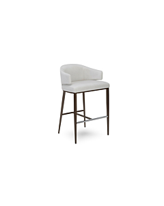 Elite Modern Elliot Counter Stool