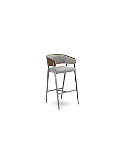 Elite Modern Aria Counter Stool with Wood Back