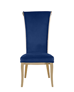 Chintaly Joy Modern Tall Rolled Back Side Chair